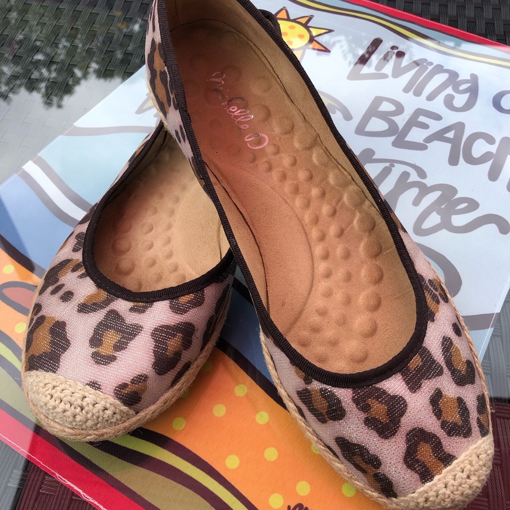 Michelle D zebra flats.